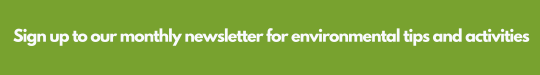 Green Creative Go Green Banner (72 × 26 in) (72 × 10 in).png